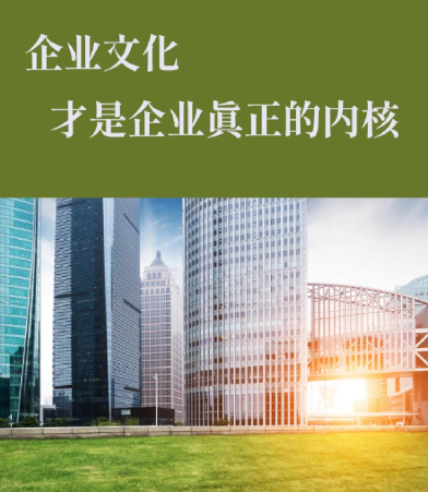 学习平台搭建常见技术故障诊断与优化方案